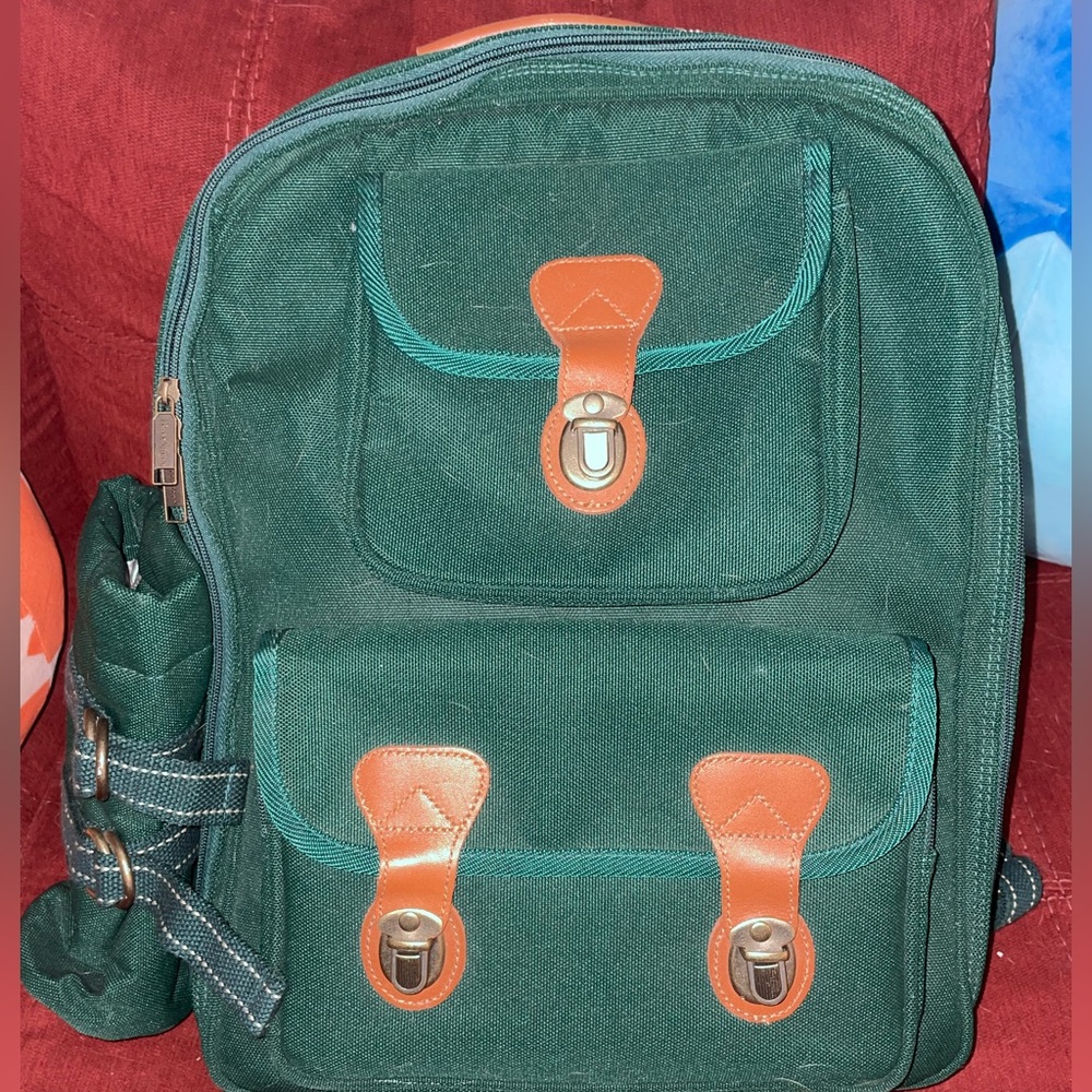 Brookstone Insulated Picnic Backpack